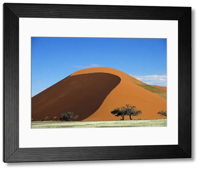 Framed Print : Dune 45 under a clear blue sky near Sossusvlei, Namibia Framed Print : Dune 45 under a clear blue sky near Sossusvlei, Namibia