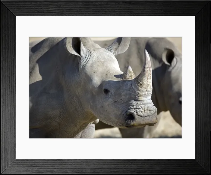 Framed Print : Namibia, Damaraland Framed Print : Namibia, Damaraland