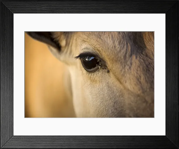 Framed Print : Namibia, Damaraland, Omaruru Framed Print : Namibia, Damaraland, Omaruru