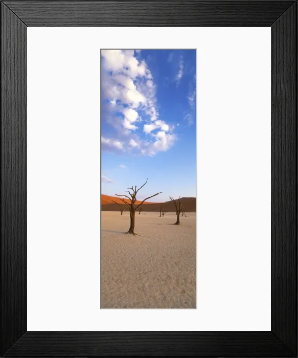 Framed Print : Sossusvlei, Namib-Naukluft Park, Namibia, Africa