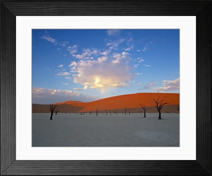 Framed Print : Red dunes & dead acacia tree Framed Print : Red dunes & dead acacia tree