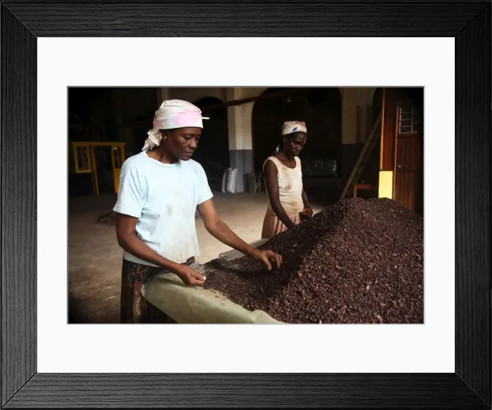 Framed Print : Two Sao Tomense women sort through cocoa beans