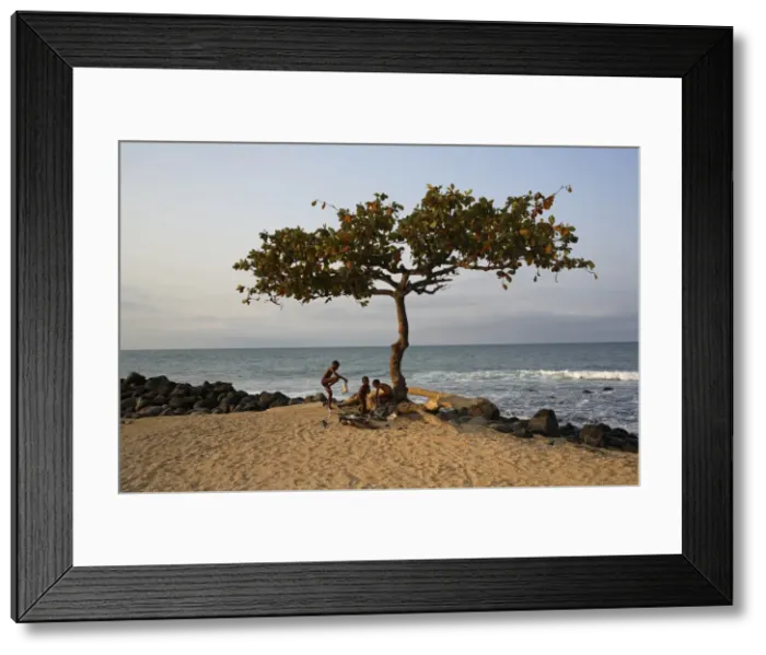 Framed Print : An Acacia tree on the edge of the city of Sao Tome Framed Print : An Acacia tree on the edge of the city of Sao Tome