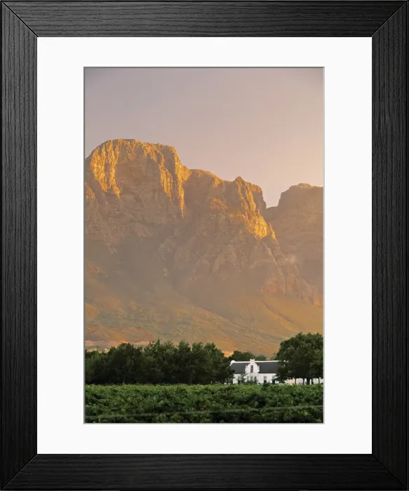 Framed Print : Boschendal Wine Estate Framed Print : Boschendal Wine Estate