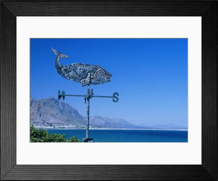 Framed Print : A weathervane in the shape of a whale on a house overlooking Walker Bay Framed Print : A weathervane in the shape of a whale on a house overlooking Walker Bay