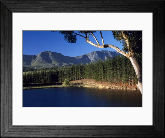 Framed Print : Dam holds water to irrigate Hamilton Russell Framed Print : Dam holds water to irrigate Hamilton Russell