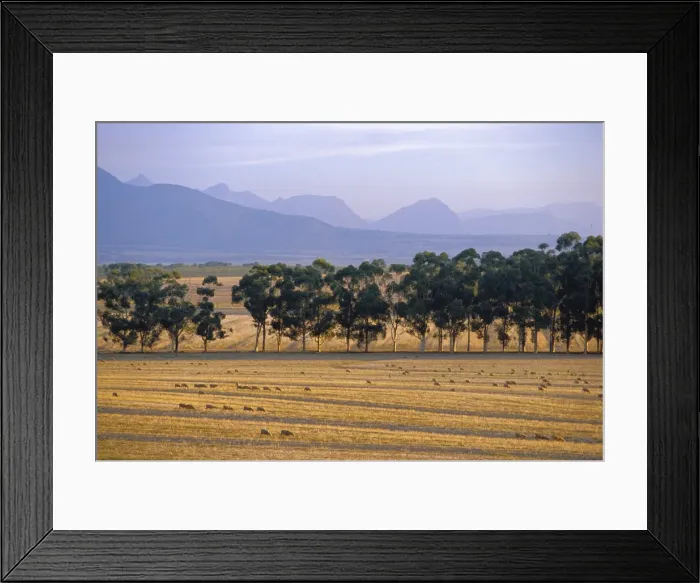 Framed Print : Elandsberg Farm Framed Print : Elandsberg Farm