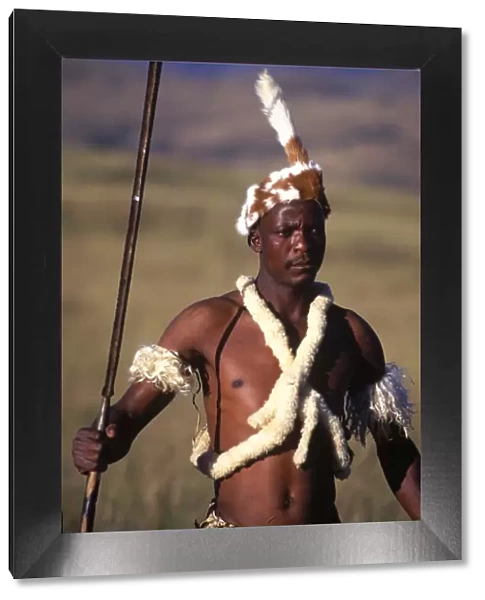 Zulu warrior in traditional dress with fighting
