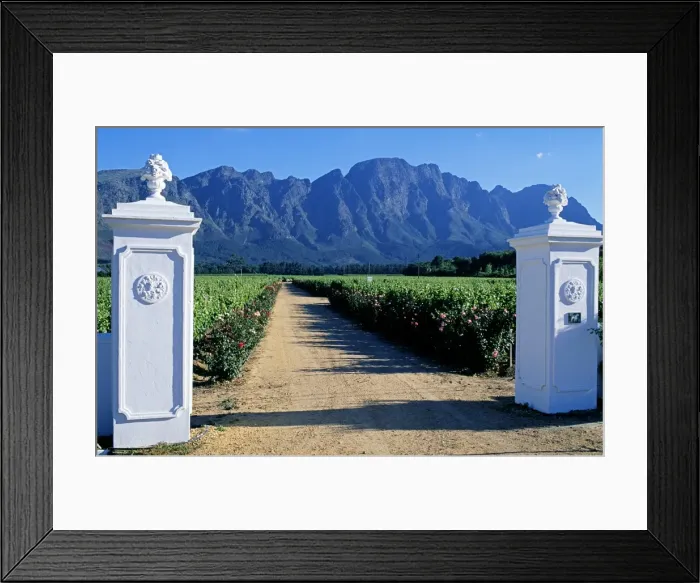 Framed Print : White stuccoed pillars at the entrance to Bellingham Vineyard