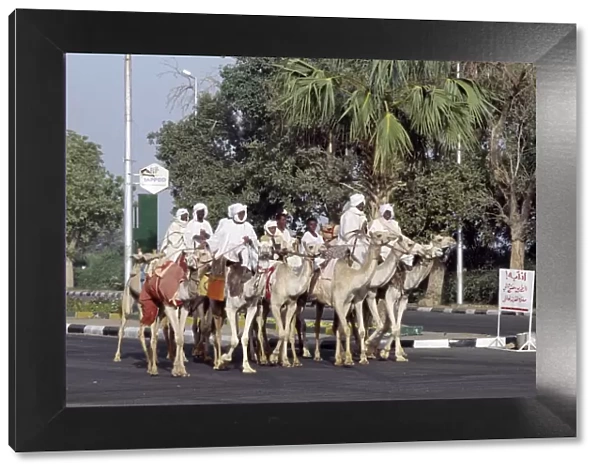 A group of men ride their camels up a main street in Khartoum