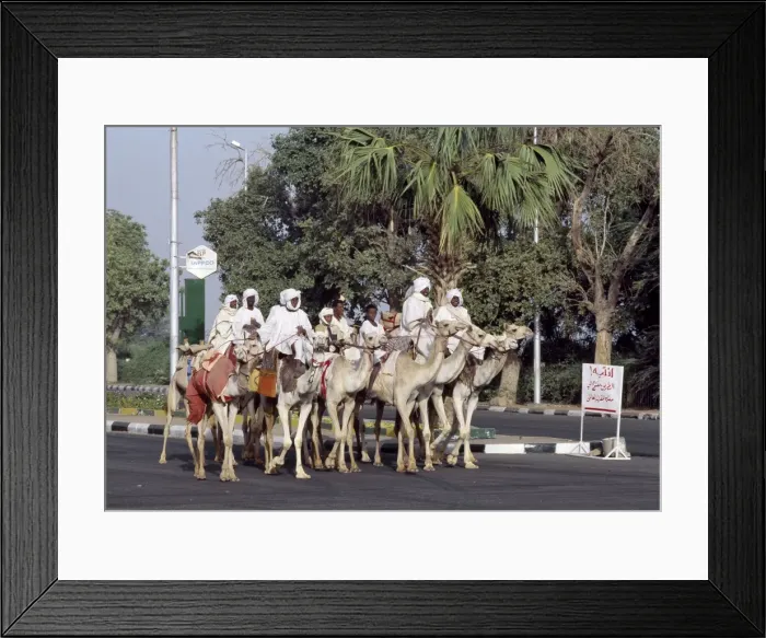 Framed Print : A group of men ride their camels up a main street in Khartoum Framed Print : A group of men ride their camels up a main street in Khartoum