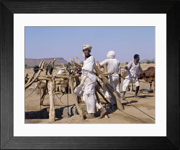 Framed Print : During the heat of the day Framed Print : During the heat of the day
