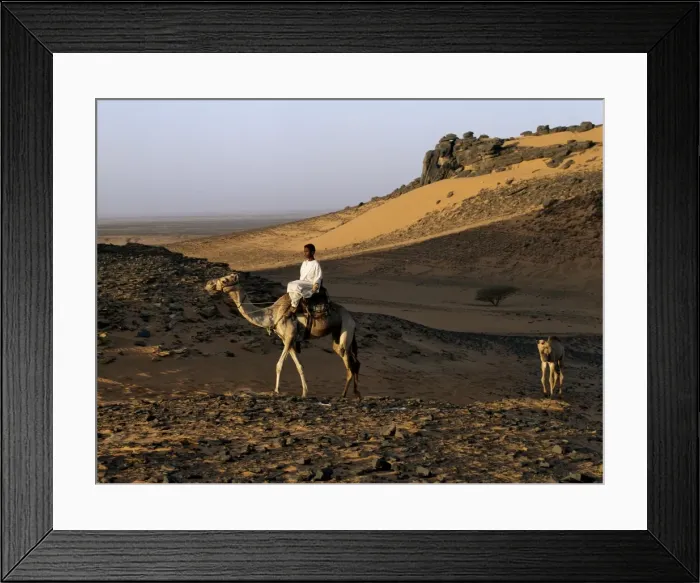 Framed Print : In late afternoon light Framed Print : In late afternoon light