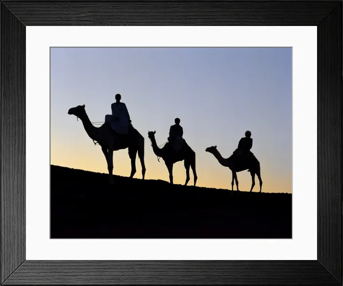 Framed Print : Three camel riders silhouetted against an evening sky Framed Print : Three camel riders silhouetted against an evening sky