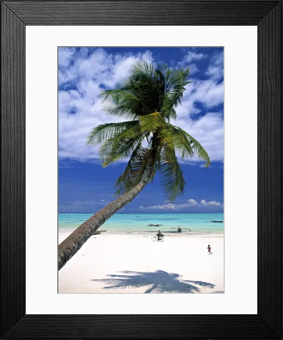 Framed Print : Palm tree and Beach Framed Print : Palm tree and Beach