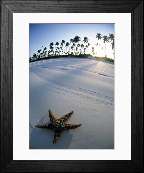 Framed Print : Beach, Zanzibar Framed Print : Beach, Zanzibar