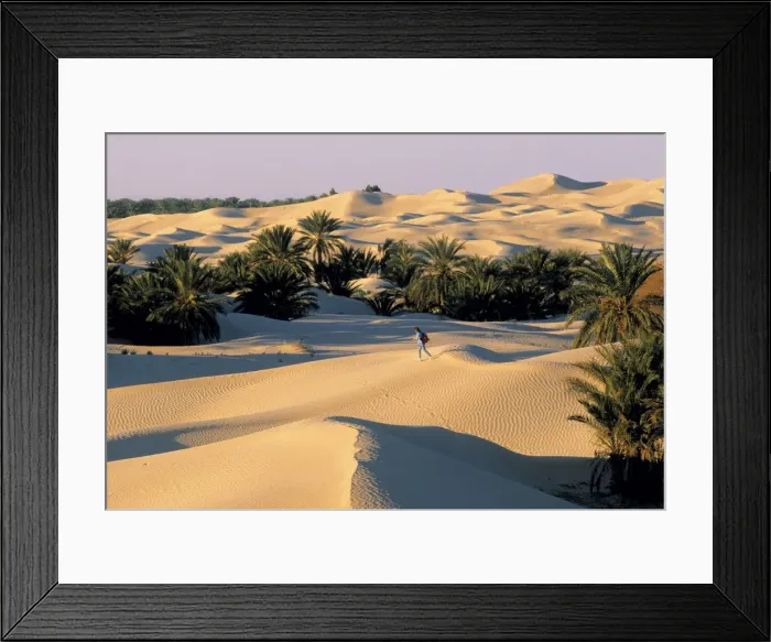 Framed Print : Sahara Desert Framed Print : Sahara Desert