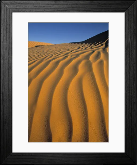 Framed Print : Douz, Sahara Framed Print : Douz, Sahara