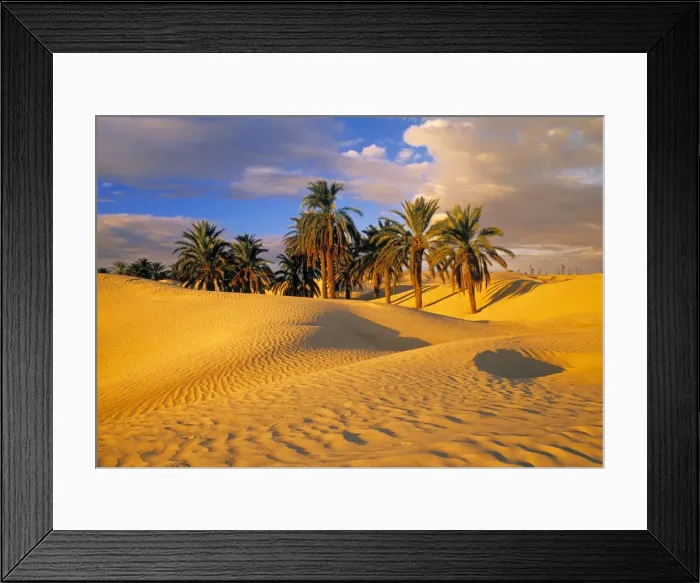 Framed Print : Sand dunes and Oasis Framed Print : Sand dunes and Oasis