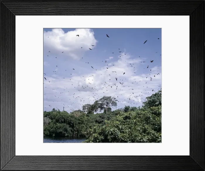 Framed Print : In the late afternoon Framed Print : In the late afternoon
