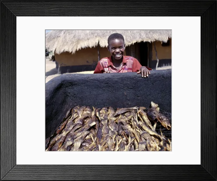 Framed Print : Small fish caught in Lake Albert are hot-smoked before Framed Print : Small fish caught in Lake Albert are hot-smoked before