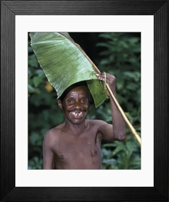 Framed Print : Scattered bands of Batwa pygmies hunt and fish in Framed Print : Scattered bands of Batwa pygmies hunt and fish in