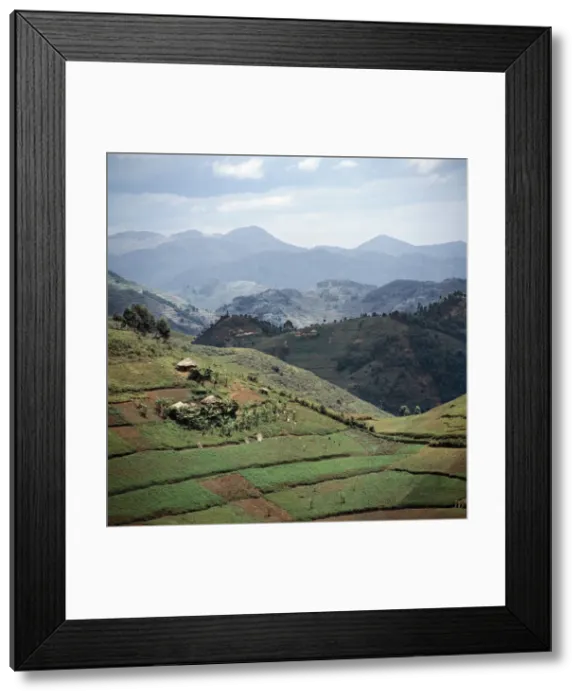Framed Print : The beautiful hill-country of Southwest Uganda Framed Print : The beautiful hill-country of Southwest Uganda