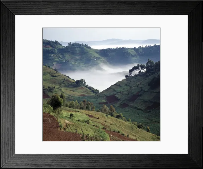 Framed Print : Mist hugs the bottom of a valley in the early morning Framed Print : Mist hugs the bottom of a valley in the early morning