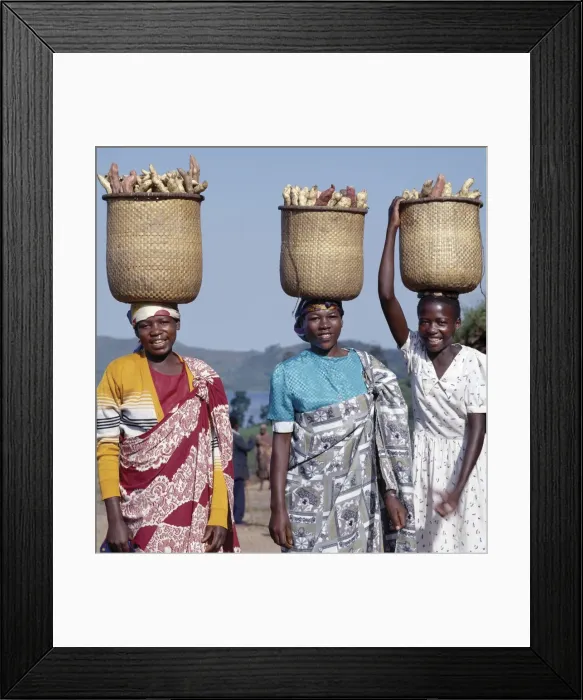 Framed Print : A group of cheerful women carry sweet potatoes to market Framed Print : A group of cheerful women carry sweet potatoes to market