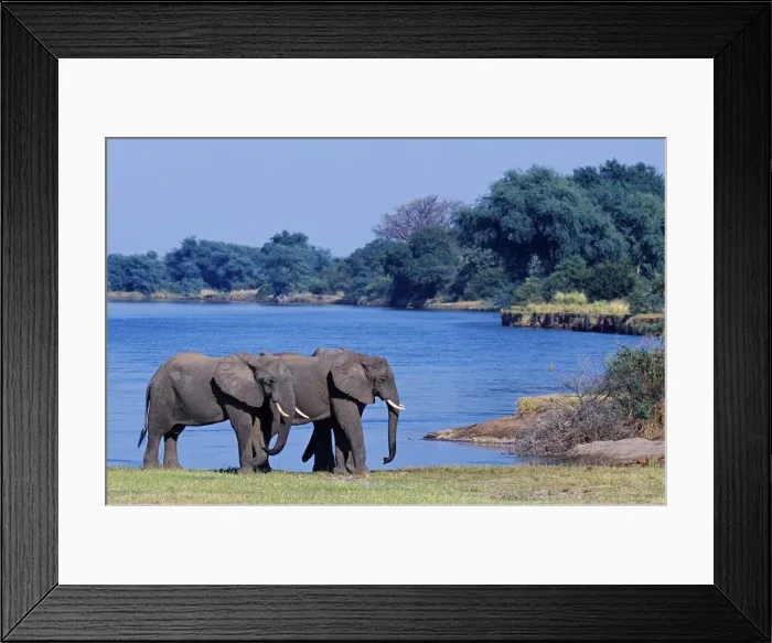 Framed Print : Zambia, Lower Zambezi National Park Framed Print : Zambia, Lower Zambezi National Park