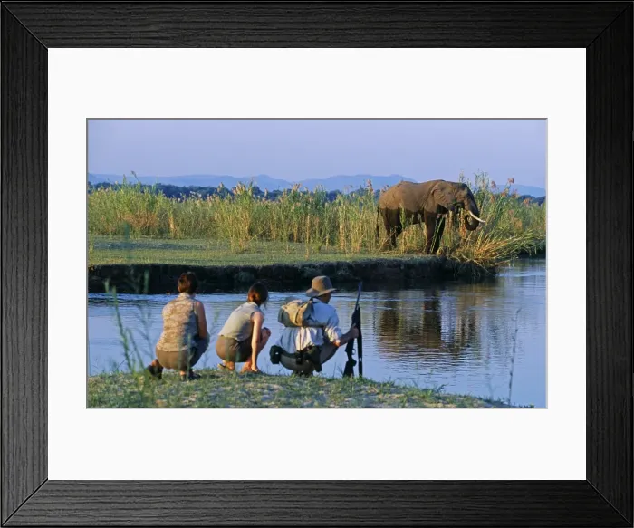 Framed Print : Zambia, Lower Zambezi National Park Framed Print : Zambia, Lower Zambezi National Park