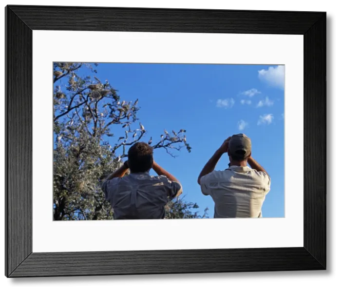 Framed Print : Zambia, South Luangwa National Park