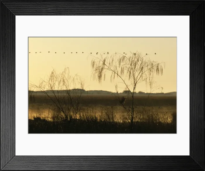 Framed Print : Zambia, Bangweulu Swamps Framed Print : Zambia, Bangweulu Swamps