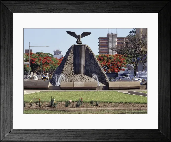 Framed Print : An eagle, the national emblem of Zambia Framed Print : An eagle, the national emblem of Zambia