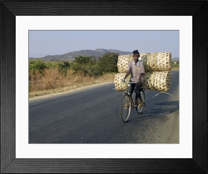 Framed Print : A cyclist taking baskets to market Framed Print : A cyclist taking baskets to market