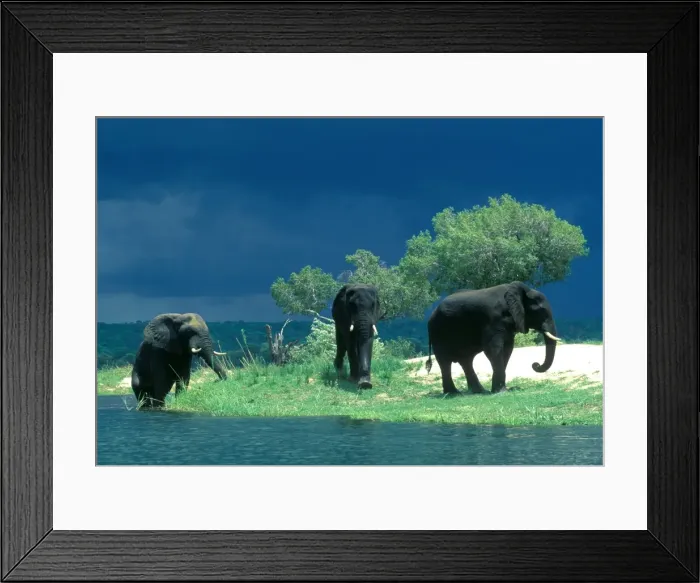 Framed Print : Zimbabwe, Zambezi River Framed Print : Zimbabwe, Zambezi River