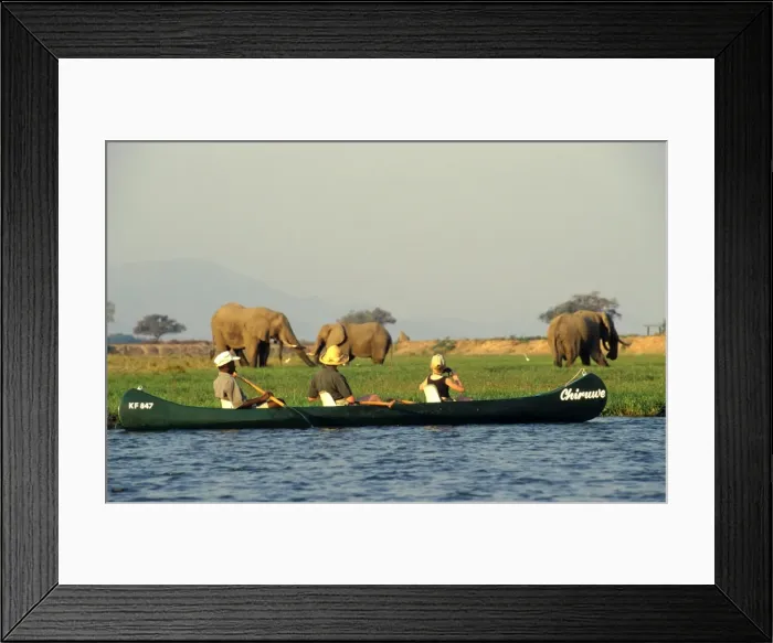 Framed Print : Canoeing on the Zambezi River Framed Print : Canoeing on the Zambezi River