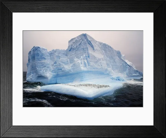 Framed Print : Antarctica, Scotia Sea Framed Print : Antarctica, Scotia Sea