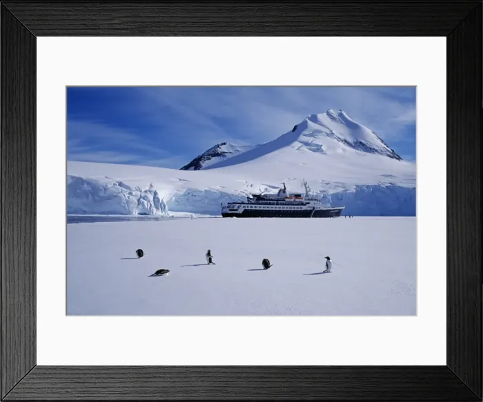 Framed Print : Antarctica, Antarctic Peninsula, Port Lockroy Framed Print : Antarctica, Antarctic Peninsula, Port Lockroy