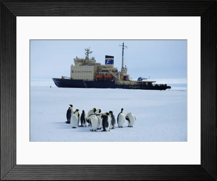 Framed Print : Antarctica, Weddell Sea, Atka Bay Framed Print : Antarctica, Weddell Sea, Atka Bay
