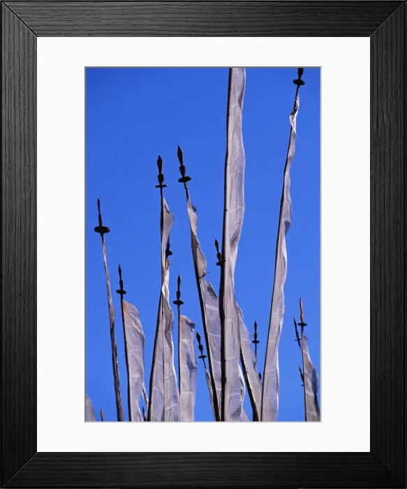 Framed Print : Lama Shida Framed Print : Lama Shida