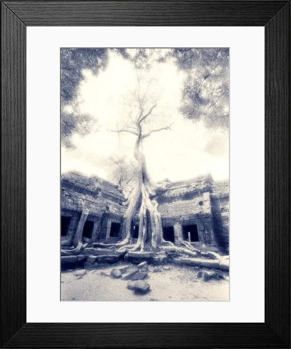 Framed Print : Ta Prohm, Angkor, Cambodia Framed Print : Ta Prohm, Angkor, Cambodia