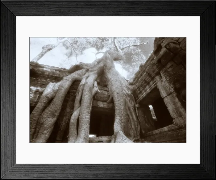 Framed Print : Ta Prohm, Angkor, Cambodia Framed Print : Ta Prohm, Angkor, Cambodia