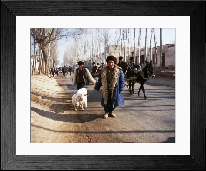 Framed Print : Uighur man with sheep on the road to Kashgar market