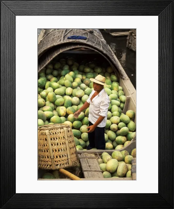 Framed Print : Loading water melons onto a barge on one of the canals in Shaoxing Framed Print : Loading water melons onto a barge on one of the canals in Shaoxing