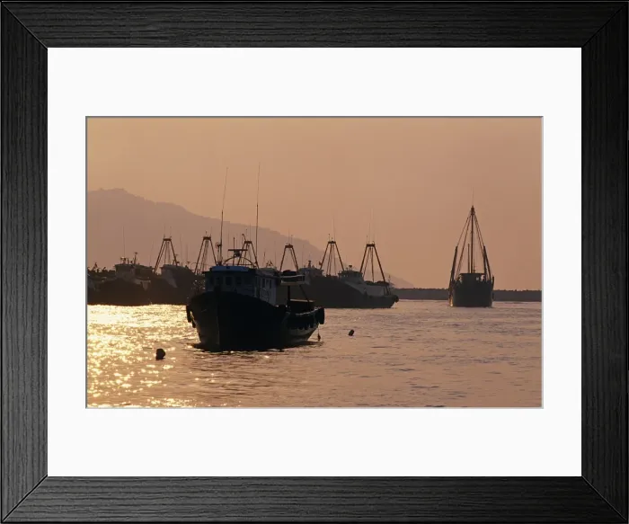Framed Print : Fishing boats in the harbour of Cheung Chau at sunset Framed Print : Fishing boats in the harbour of Cheung Chau at sunset