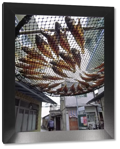 Fish are laid out to dry above the streets of Tai O