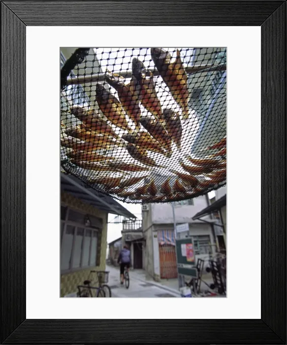 Framed Print : Fish are laid out to dry above the streets of Tai O Framed Print : Fish are laid out to dry above the streets of Tai O