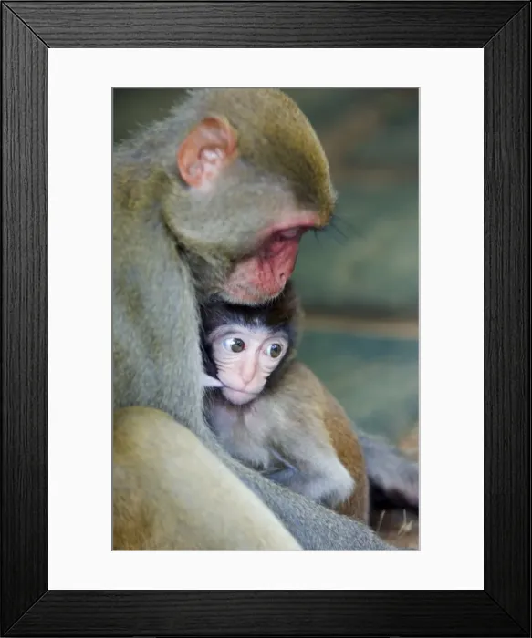 Framed Print : China, Hainan Province, Hainan Island Framed Print : China, Hainan Province, Hainan Island