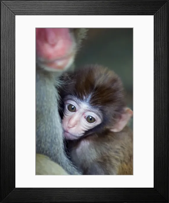 Framed Print : China, Hainan Province, Hainan Island